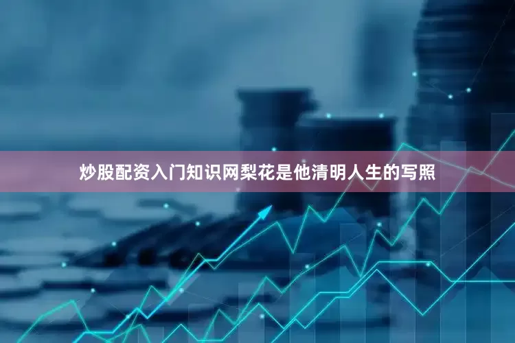 炒股配资入门知识网梨花是他清明人生的写照