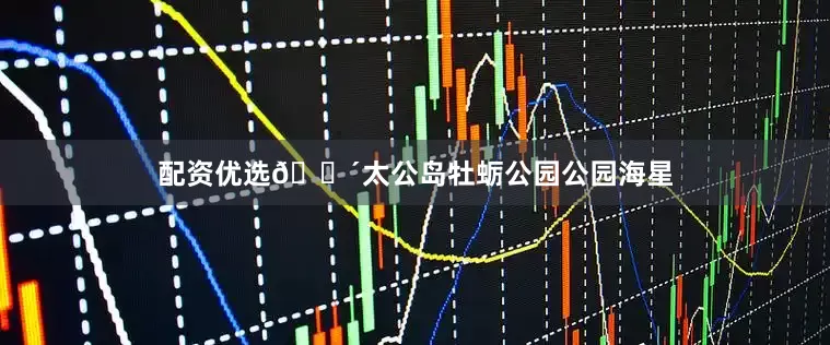 配资优选💴太公岛牡蛎公园公园海星