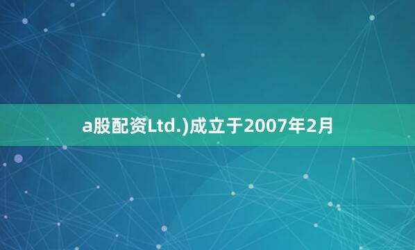 a股配资Ltd.)成立于2007年2月